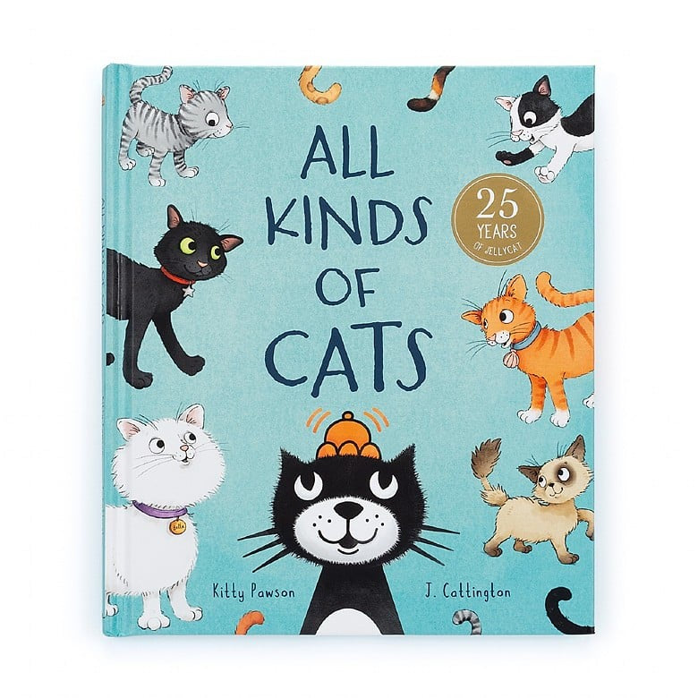 All Kinds of Cats Book