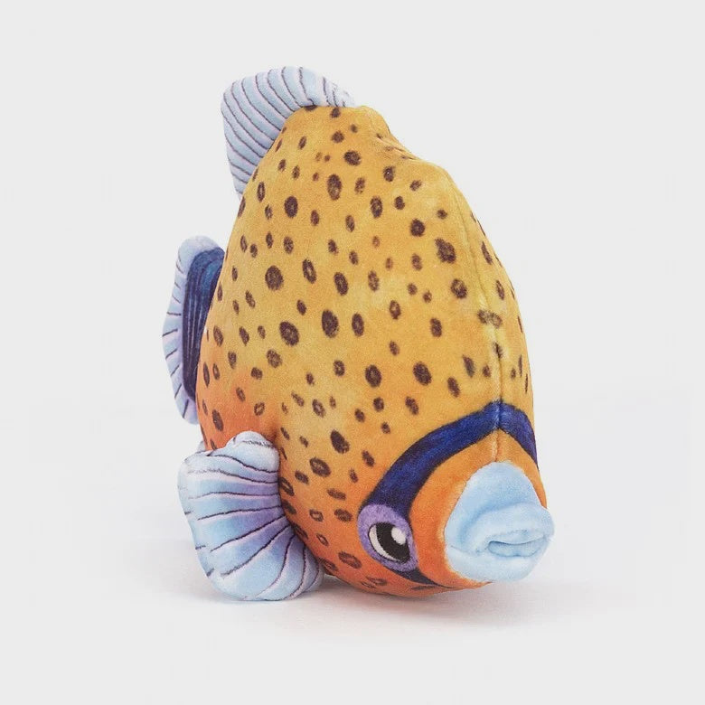 Fishiful Orange